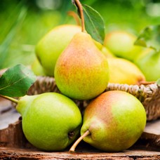 Kruška 1 kg