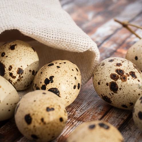 Domaća prepeličja jaja 12/1