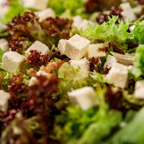 Svježa lisnata salata sa skutom za 2 osobe (400 g)